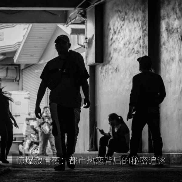 惊爆激情夜：都市热恋背后的秘密追逐