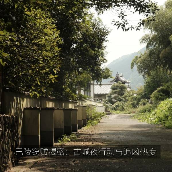 巴陵窃贼揭密：古城夜行动与追凶热度